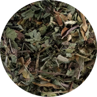 Chá de Dente de Leão Chá de Dente de Leão