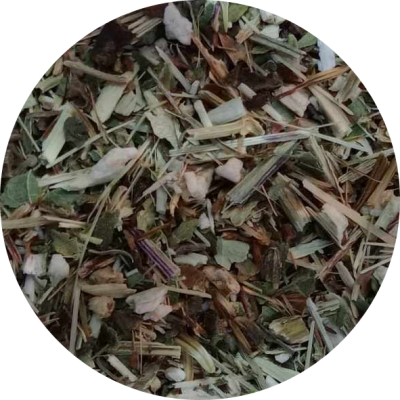 Chá de Equinácea Chá de Equinácea