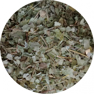 Chá de Moringa