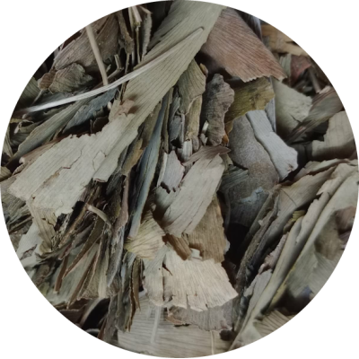 Chá de Ginkgo Biloba